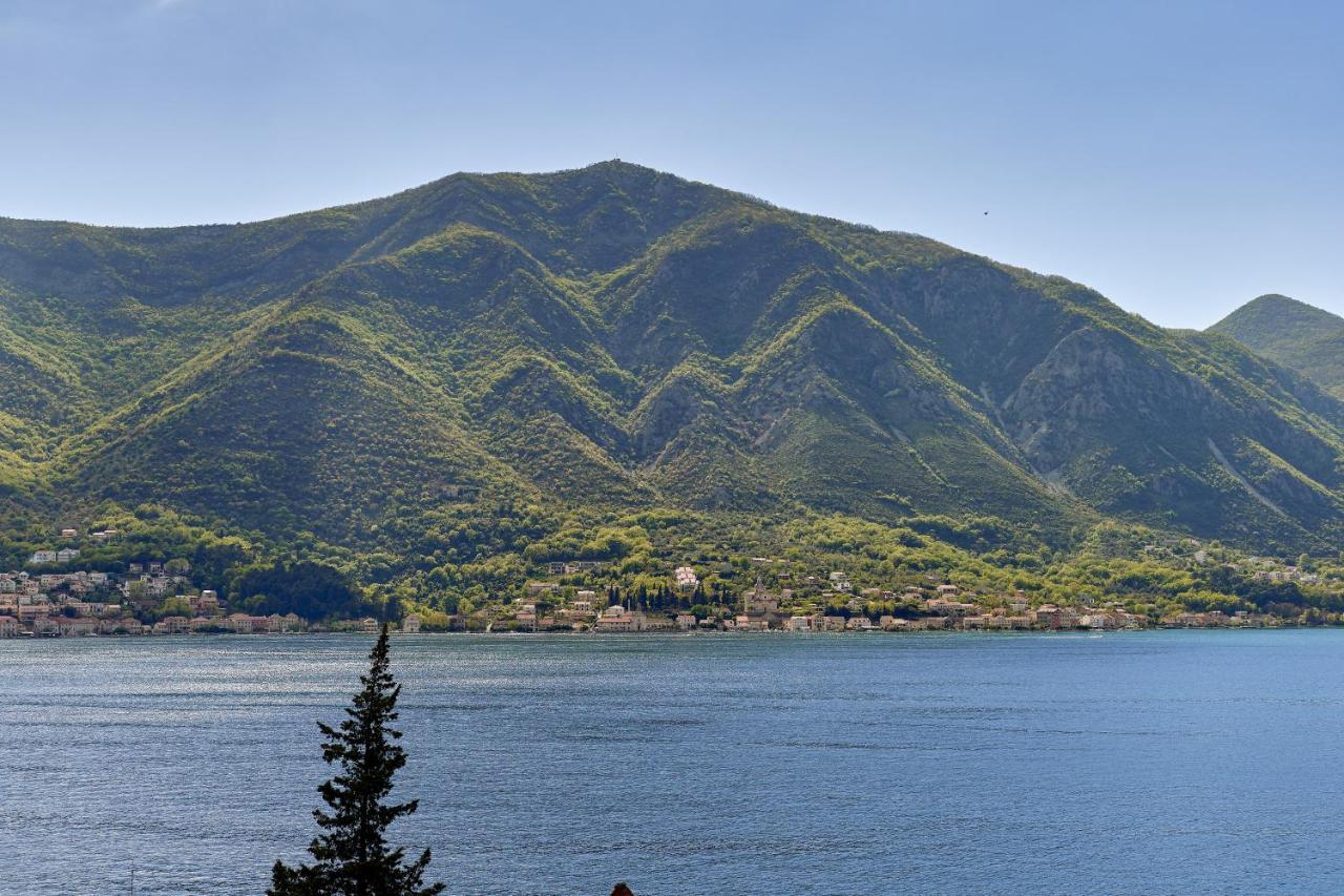 Apartment Noa With Sea View Kotor Dış mekan fotoğraf